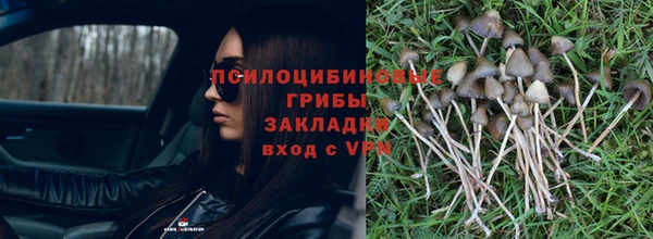 jwh Нефтекумск