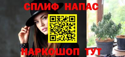 стафф Заводоуковск