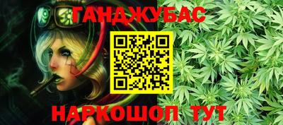 стафф Заводоуковск