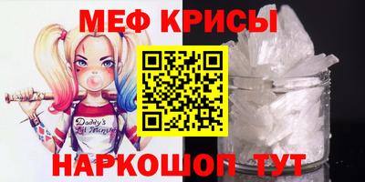 стафф Заводоуковск
