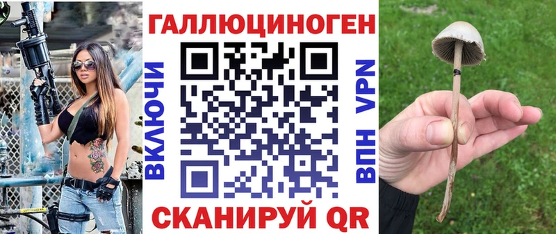 цена   Нижний Тагил  KRAKEN онион  Псилоцибиновые грибы прущие грибы 
