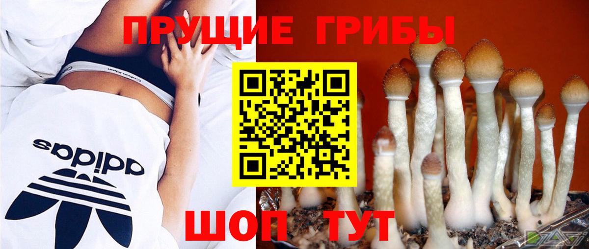 Псилоцибиновые грибы мицелий Нижний Тагил