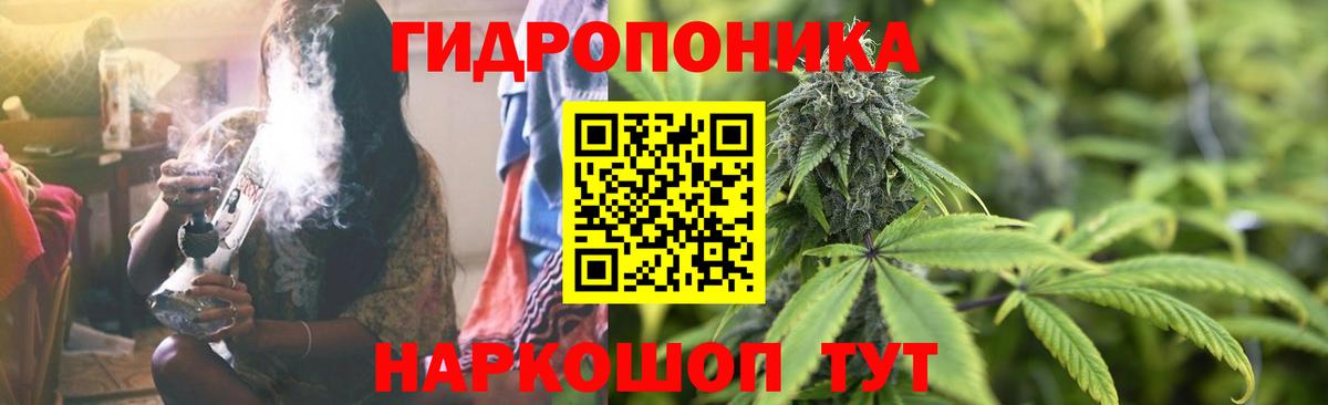 Бошки марихуана семена Нижний Тагил